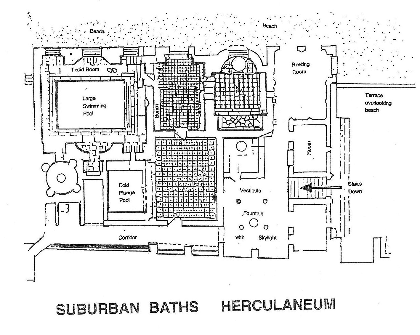 forum baths herculaneum